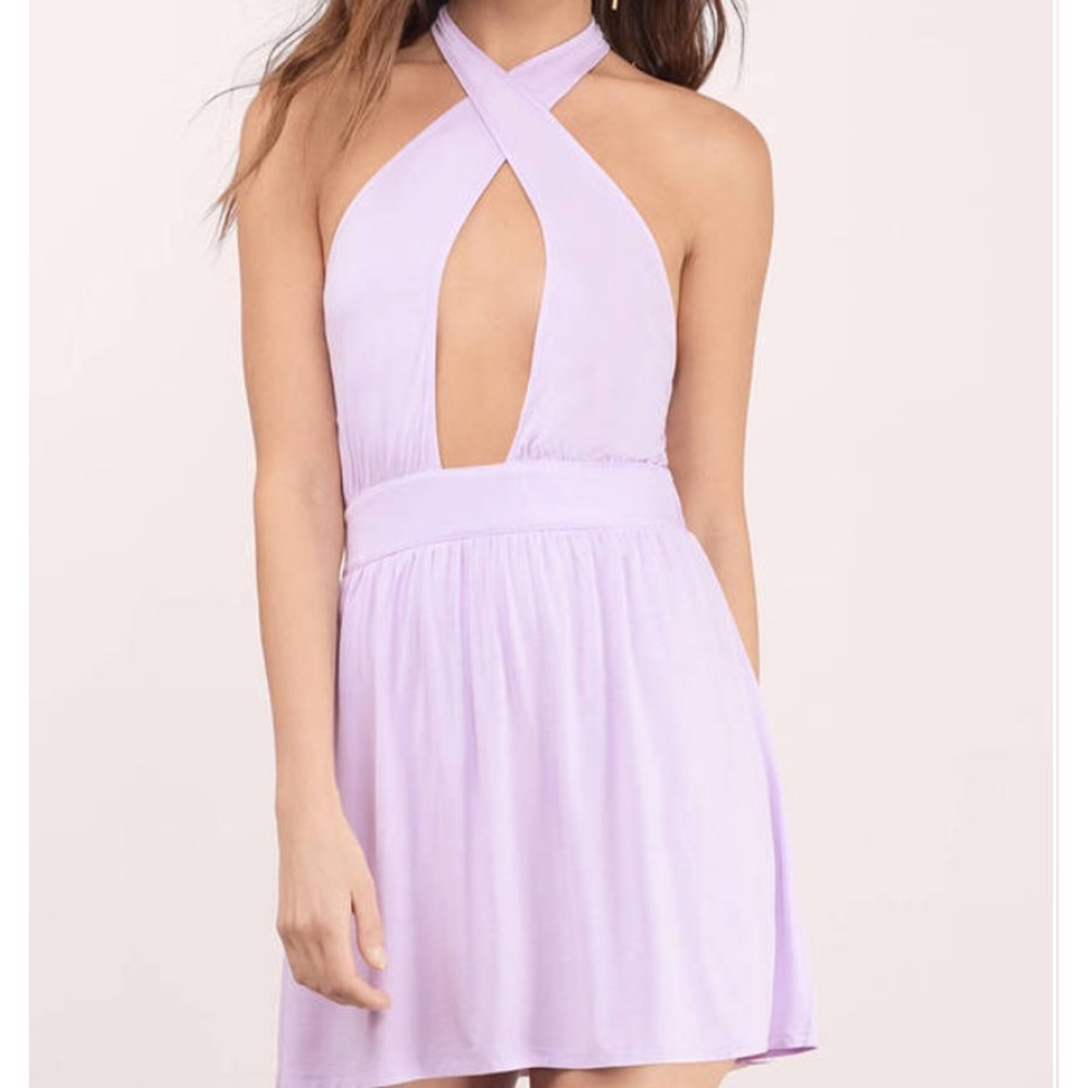 Tobi Skater Dress